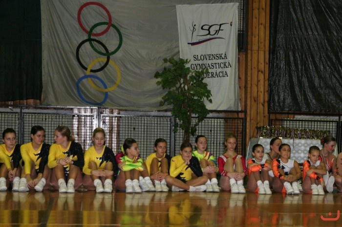 pohár federací 2008 - Bratislava
