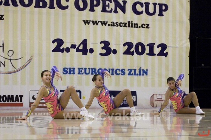 Czech Aerobic Open 2012 ve Zlíně